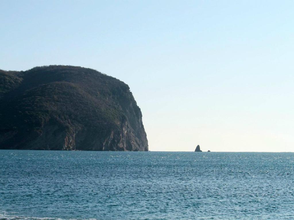 Apartments Galija Petrovac المظهر الخارجي الصورة